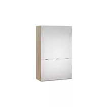 Шкаф комбинированный с 3 зеркальными дверями Глосс - СМ-319.07.433*